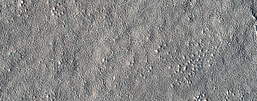 Candidate Landing Site for Spacex Starship in Amazonis Planitia
