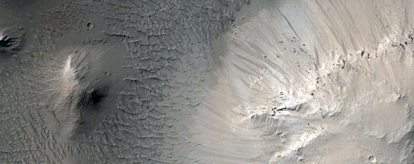 Elysium Planitia Terrain