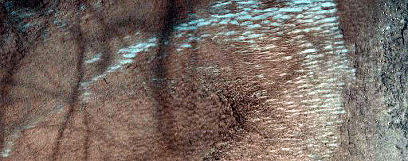 Monitoring Dust Devil Tracks in Northwest Casius Region