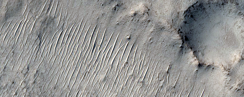 Morphologically Diverse Mound on Antoniadi Crater Floor