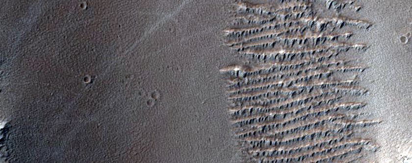 Terrain Sample in Noctis Fossae