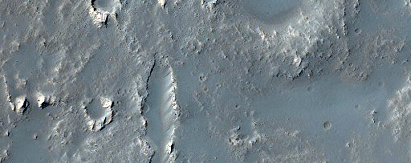 Channel-Fed Lava Flows in Daedalia Planum
