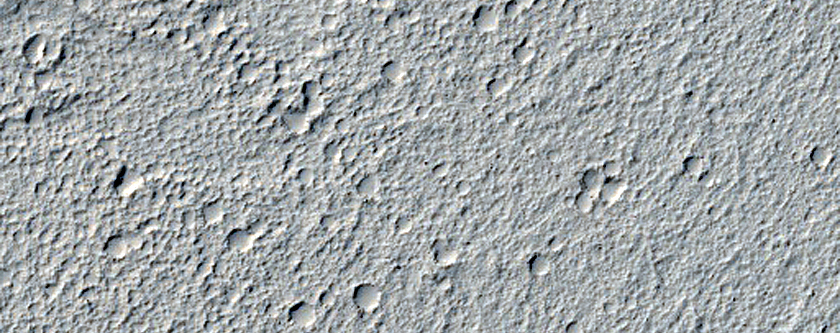 Elysium Planitia Sample