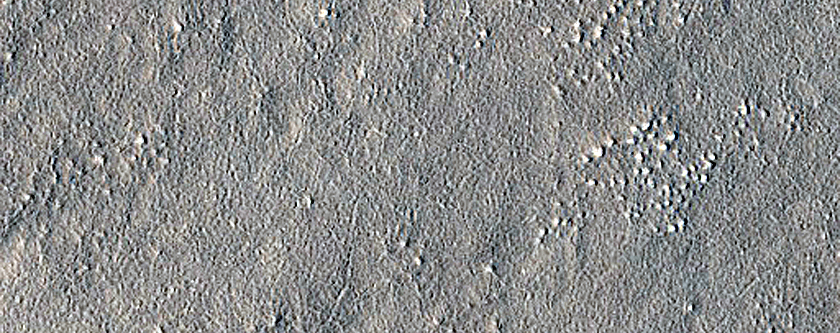 Candidate Landing Site for SpaceX Starship in Amazonis Planitia