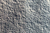 Terrain Sample
