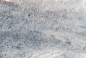 High-Latitude Gullies
