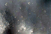 Possible Gullies in Crater
