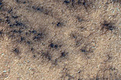South Polar Terrain
