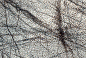 Mounds on Degraded Crater Floor
