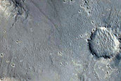 Terrain Sample
