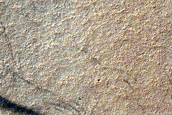 Raised Crater Rim
