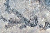 Branched Features within Antoniadi Crater
