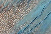 Gully Monitoring
