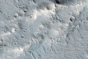 Sacra Sulci Lava
