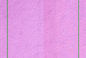 South Polar Terrain
