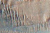 Possible Gullies
