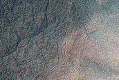 Gullies in Polar Pits
