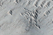 Monitoring New Impact Site
