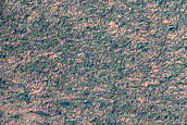 South Polar Terrain

