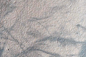 Possible Small Gullies in Crater in Terra Sirenum
