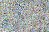 Hellas Planitia
