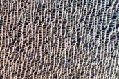 Irregular Crater Rim
