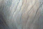 Crater Cluster

