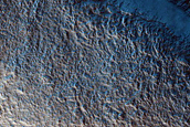 Pits Forming Lines in Protonilus Mensae
