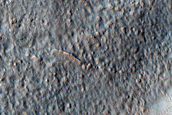 Gullies in Crater on Floor of Newton Crater
