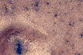 South Polar Terrain
