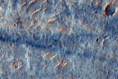 Albedo Monitoring in Melas Dorsa

