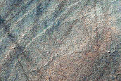 Spider along Layers on Ejecta Blanket
