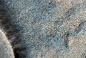 Terrain Sample
