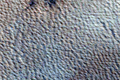 Monitoring New Impact Site
