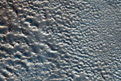 Terrain Sample
