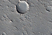Dendritic Ridges in Channel Levees

