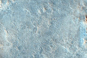 Contributory Channels Over Syrtis Major Lava Flows
