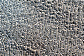 Terrain Sample
