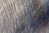 Dunes with Linear Gullies in Hellas Planitia
