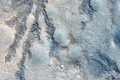 Branched Features within Antoniadi Crater
