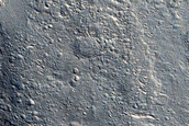 Amenthes Cavi
