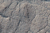 Terrain Sample
