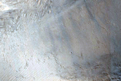 Terrain Sample
