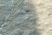 Monitor Seasonal Changes at South Polar Cracked and Gullied Site
