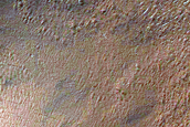 Gullies in Cavi Angusti
