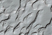 Monitoring of South Polar Residual Cap
