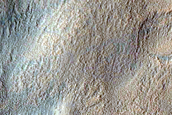 Terrain Sample
