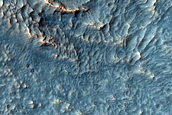 Gully Monitoring
