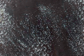 USGS Dune Database Entry Number 1960-625
