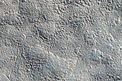 Albedo Monitoring in Phlegra-Diacria Region
